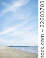 Sky and coast 22603703