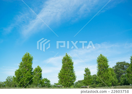 藍天和新綠色 藍天和新綠色 22603758