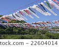 Swim! carp streamer 22604014