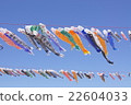    Carp streamer 22604033
