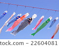 Koinobori family 22604081