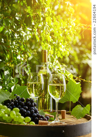 wooden barrel with glass of white wine. wooden barrel with glass of white wine. 22604194