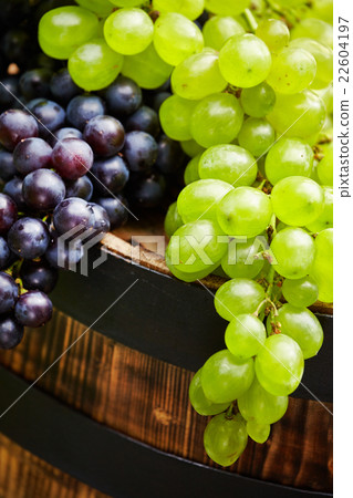 Grapes on wooden barrel Grapes on wooden barrel 22604197