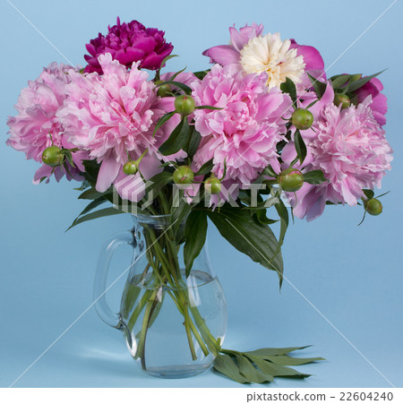 bouquet of peonies 22604240