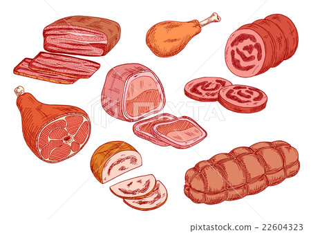Sausages, ham and baked meat sketch icons Sausages, ham and baked meat sketch icons 22604323