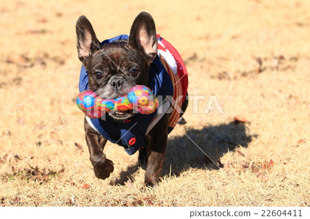 I got it♪ 22604411