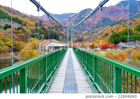 紅葉谷吊橋 22604860
