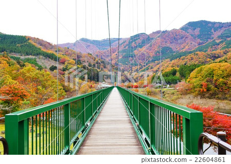 紅葉谷吊橋 22604861