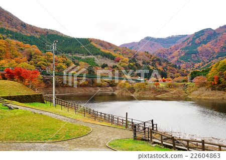 Momijidani Suspension Bridge 22604863