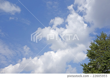 Blue sky and clouds Blue sky and clouds 22605955