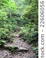 山路徑樓梯 22606056
