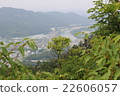 從山頂的風景 22606057