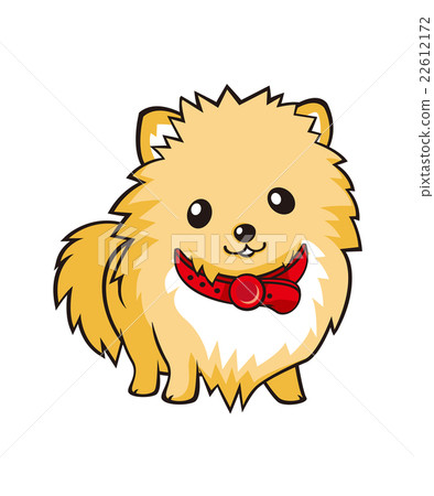 Pomeranian站姿 22612172