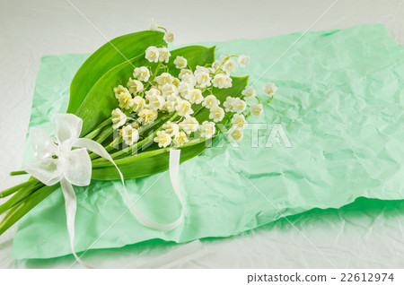 Lily of the valley Lily of the valley 22612974