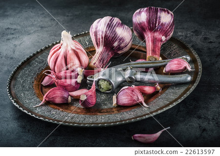 Garlic. Fresh garlic. Red garlic. Garlic press. Garlic. Fresh garlic. Red garlic. Garlic press. 22613597