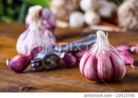 Garlic. Fresh garlic. Red garlic. Garlic press. Garlic. Fresh garlic. Red garlic. Garlic press. 22613598