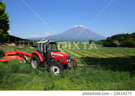 Mt. Fogouse在早晨霧高和割的牧場 22614271