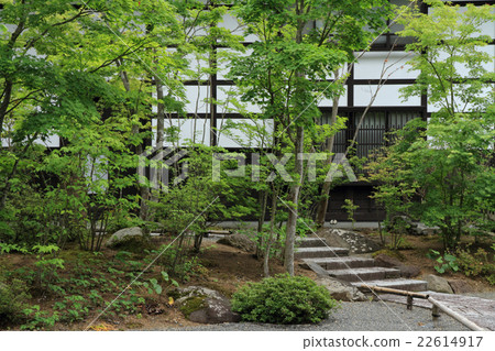 Japanese garden with white wall building as background 22614917