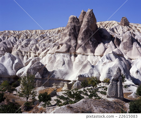 Bassilere Valley 22615083