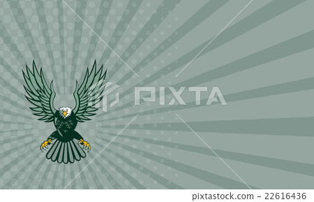Business card Bald Eagle Swooping Wing Spread Business card Bald Eagle Swooping Wing Spread 22616436