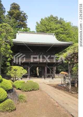 初夏的Tafukuji（Yamamon） 22616558