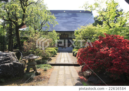 初夏的多福寺：本堂（埼玉縣入間郡三好町） 22616584