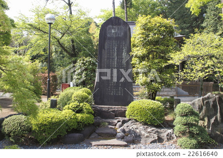 在初夏的multifukuji 22616640
