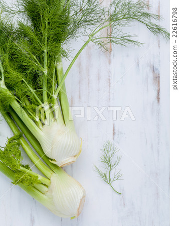 Fresh organic fennel bulbs for culinary purposes . 22616798