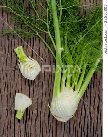 Fresh organic fennel bulbs for culinary purposes . 22616803