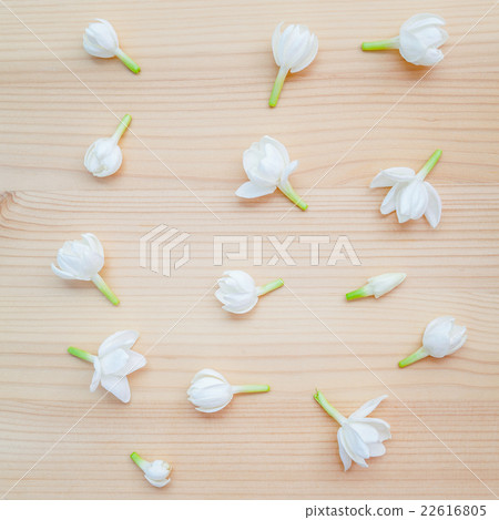 White jasmine flowers on wooden background.  22616805