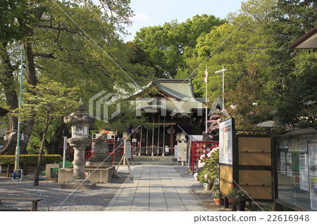 鎮州冰川神社(埼玉縣川口市) 鎮州冰川神社(埼玉縣川口市) 22616948