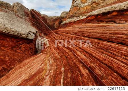 White pocket 22617113