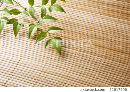 藤蓆和南方天空 22617296
