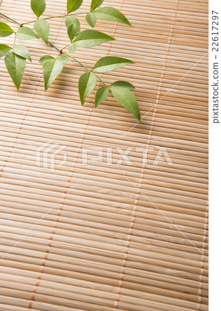 藤蓆和南方天空 22617297