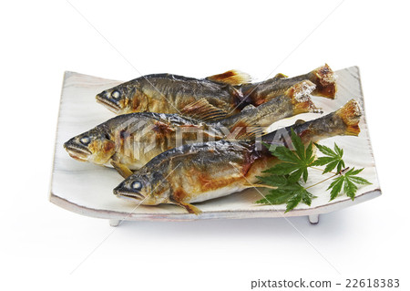 Salt-grilled salmon Salt-grilled salmon 22618383