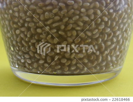 Gelled chia seed Gelled chia seed 22618466