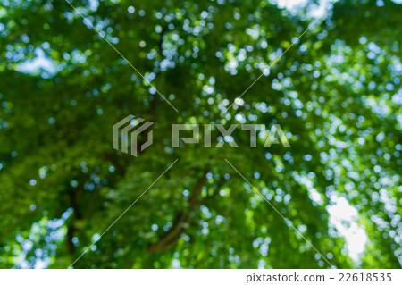 新的綠色合成材料 22618535