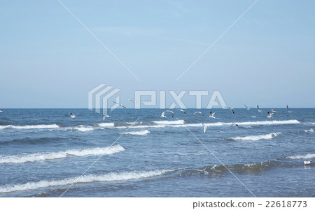 Sea of Kanazawa 22618773