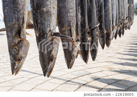 Fish preservation by drying, salt fish Fish preservation by drying, salt fish 22619005