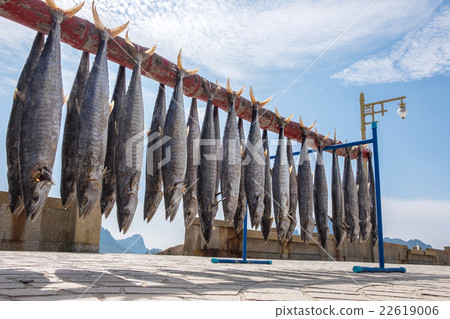 Fish preservation by drying, salt fish Fish preservation by drying, salt fish 22619006