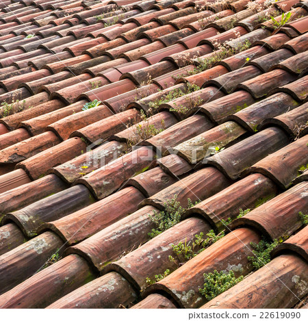 Old roofing tiles 22619090