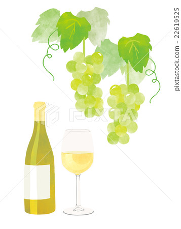 白葡萄酒和葡萄例證 白葡萄酒和葡萄例證 22619525