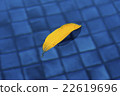 Yellow leaf over the water 22619696