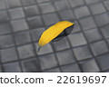 Yellow leaf over the water 22619697
