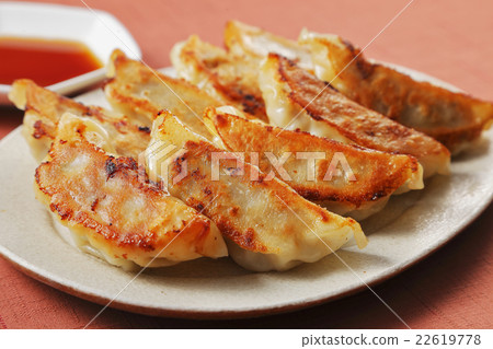 Pan-fried gyoza Pan-fried gyoza 22619778