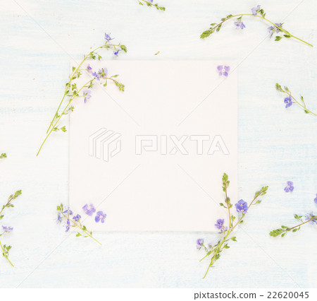 Scrapbooking page with blue flowers 22620045