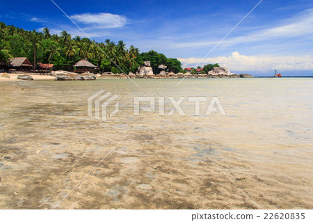 white sand beach  22620835