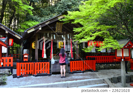 野宮神社（2016.4） 22621028