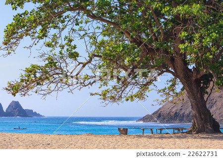 White sand beach on ocean bay Mawun in Lombok 22622731