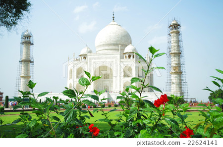 Taj Mahal and Hibiscus Taj Mahal and Hibiscus 22624141